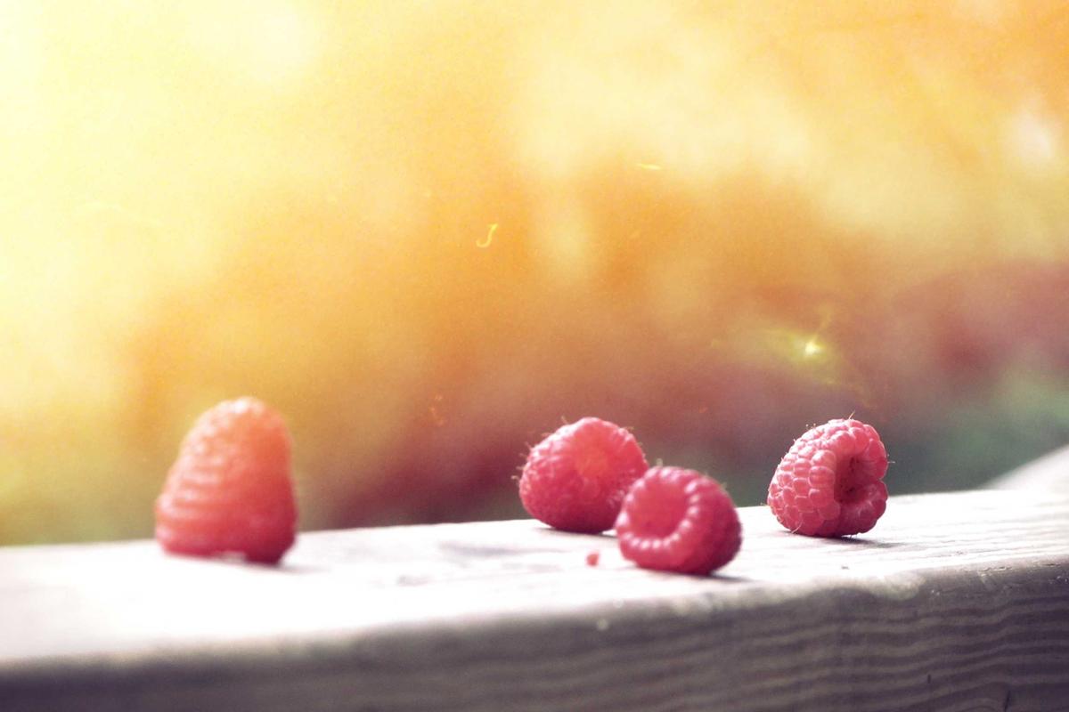 The Ultimate Guide to Seattle’s Best Neighborhoods for Families